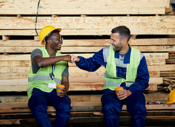 Free to Grow in Forestry Training Program - Image 3