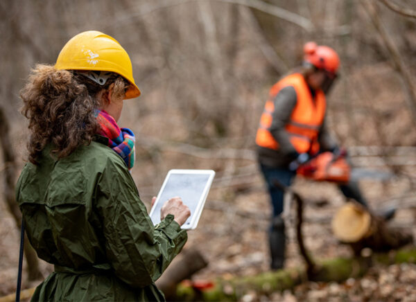 Free to Grow in Forestry Training Program - Image 5